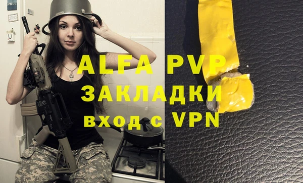 дживик Инта