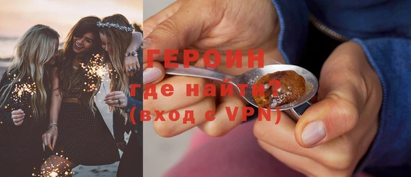 дживик Инта