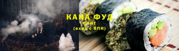 дживик Инта