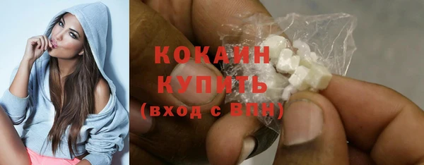 винт Инсар
