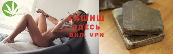 дживик Инта