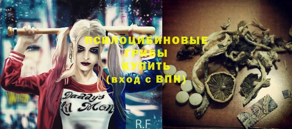 винт Инсар