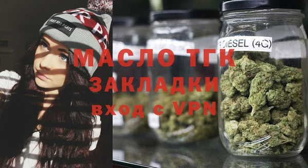 дживик Инта