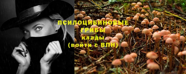 винт Инсар