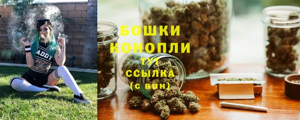 индика Зерноград