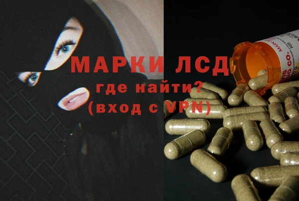 дживик Инта