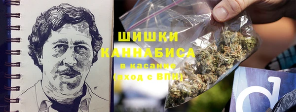 дживик Инта