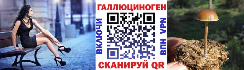 Псилоцибиновые грибы мицелий Купить где Льгов
